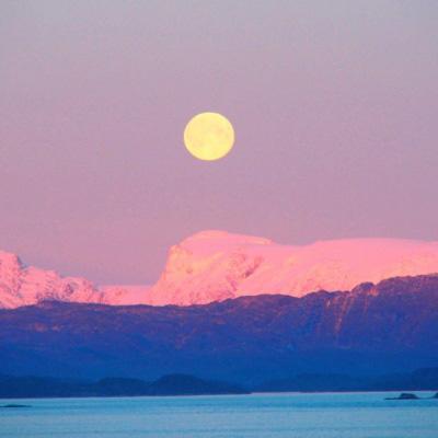 澳门王中王100%的资料手机app下载