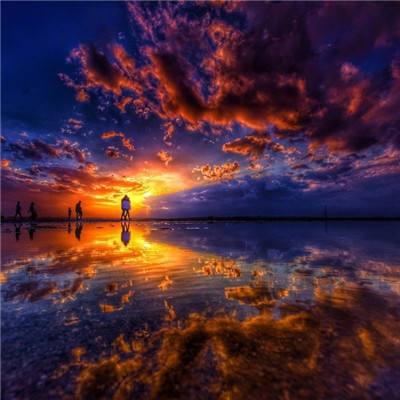 亚搏APP·官方网站